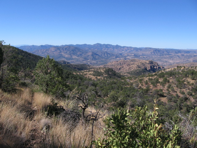 view west from wildbunch trail.JPG